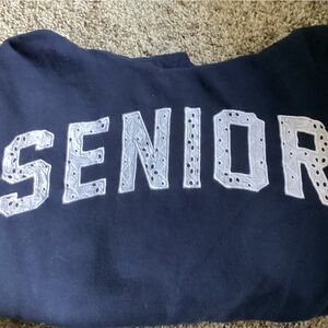 Hollister Navy Senior Sweatsuit Medium